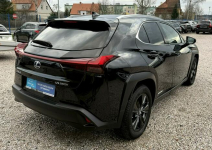 Lexus UX 250h,Hybryda,Full wersja,Gwarancja Kamienna Góra - zdjęcie 3