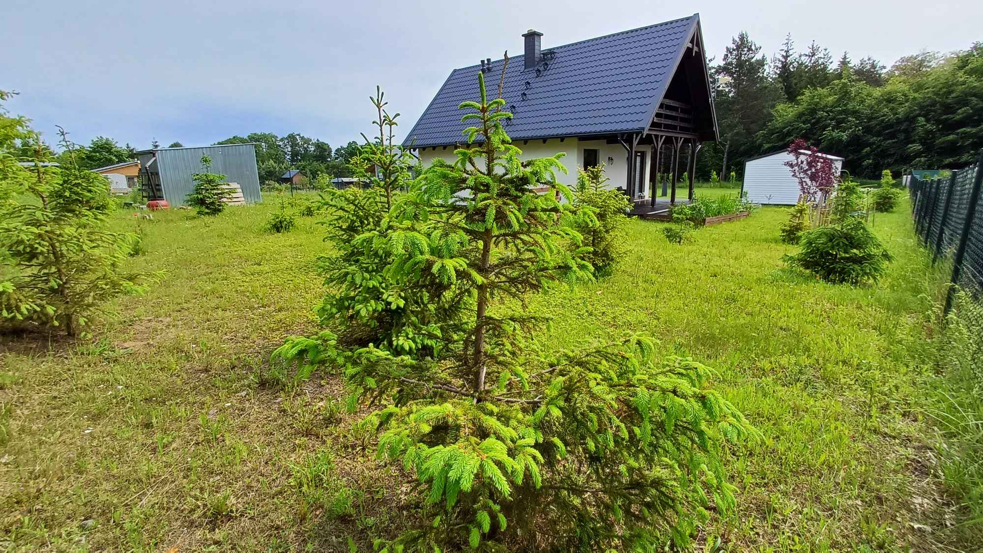Dom Demlin nad jeziorem przy lesie Demlin - zdjęcie 4