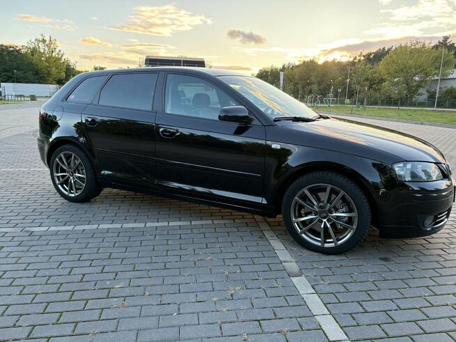 Audi A3 8P Włocławek - zdjęcie 11