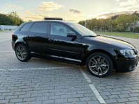 Audi A3 8P Włocławek - zdjęcie 11