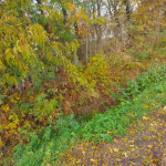 Działka budowlana Nieborów powiat łowicki Nieborów - zdjęcie 11