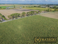 Działka AG  - 7 km od Poznania Komorniki - zdjęcie 6
