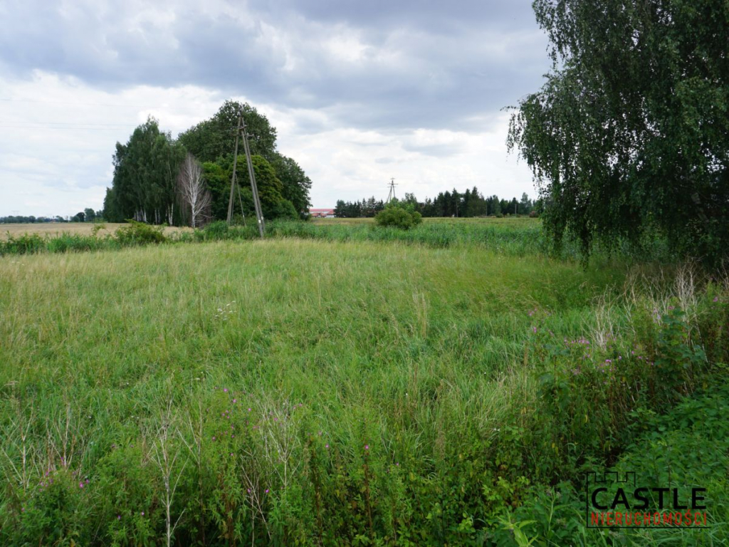 Działka 6303 m² | Bogatka koło Gdańska Bogatka - zdjęcie 4