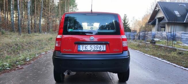 Fiat Panda Kielce - zdjęcie 4