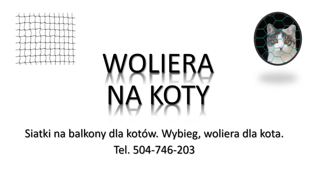 Woliera dla kota, cena i montaż, tel. 504-746-203  wybieg dla kota Psie Pole - zdjęcie 2