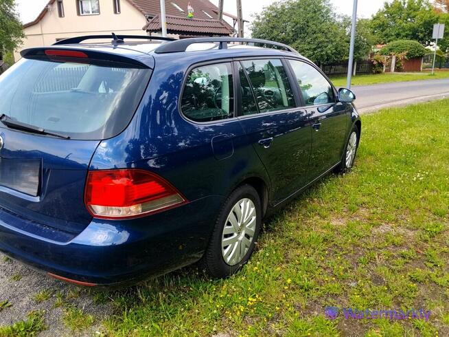 Golf kombi 1,6 D kombi Przejęsław - zdjęcie 3