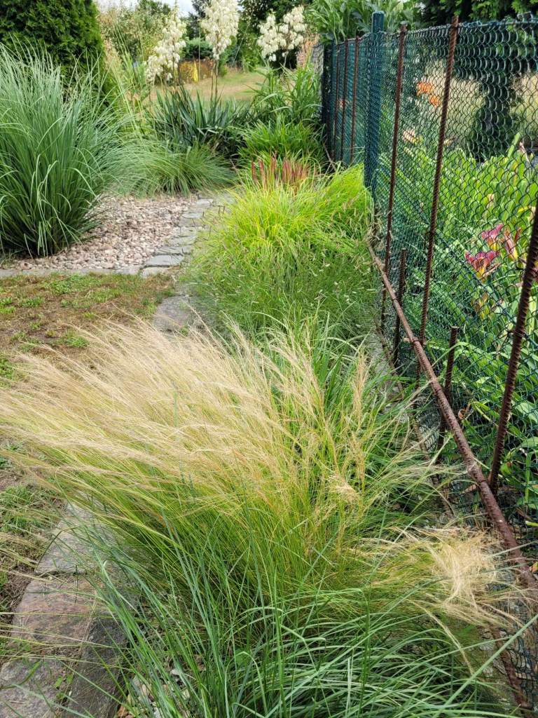 DZIAŁKA REKREACYJNA Fabryczna - zdjęcie 12