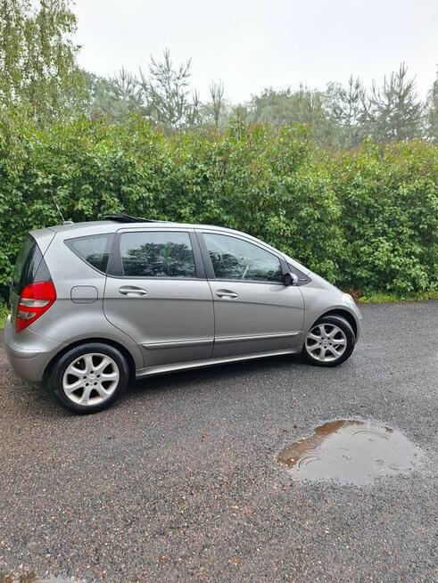 Sprzedam Lubonieczek - zdjęcie 2