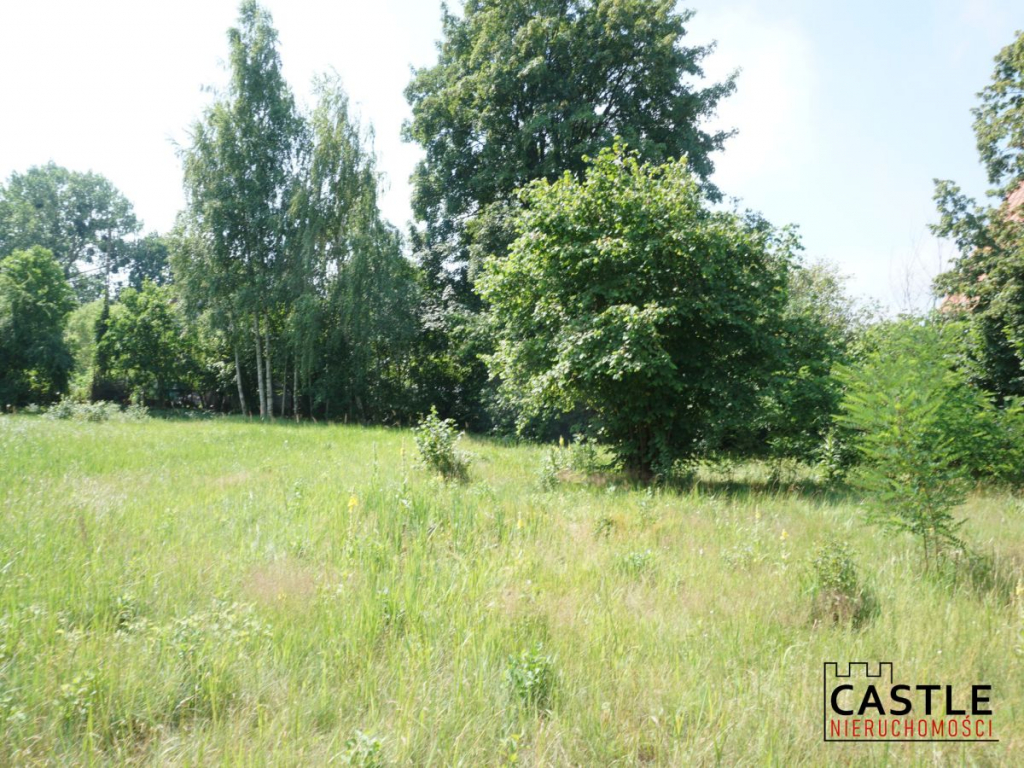 enklawa zieleni I 2 linia zabudowy I cisza Stegna - zdjęcie 5