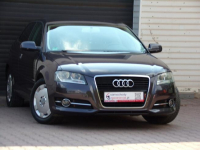 Audi A3 Klimatronic /I Właść /1,4 /125KM /2011 /Lift Mikołów - zdjęcie 2