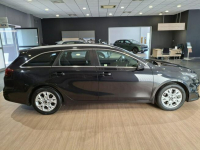 Kia Cee'd 1.5 T-GDI M 160KM Ostrów Wielkopolski - zdjęcie 4