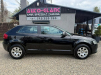Audi A3 Bardzo Zadbany**140 KM**Tylko 2 Właściciel Ruda Śląska - zdjęcie 3
