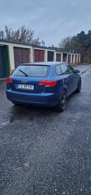 AUDI A3 2007 1.9TDI Zielona Góra - zdjęcie 4