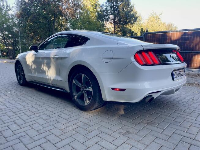 Ford mustang 3.7 2015 Puławy - zdjęcie 4