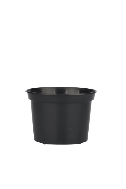 Doniczki produkcyjne fi 9 cm - NOWE / TWARDE Papowo Biskupie - zdjęcie 2