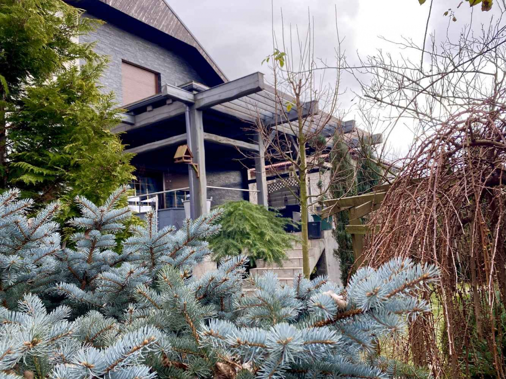 5pok, 250met, oś. Sienkiewicza PIWNICA/OGRÓD/GARAŻ (Legnica) Legnica - zdjęcie 6