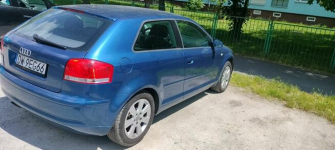 Audi A3 8p 1.9 TDI Psie Pole - zdjęcie 10