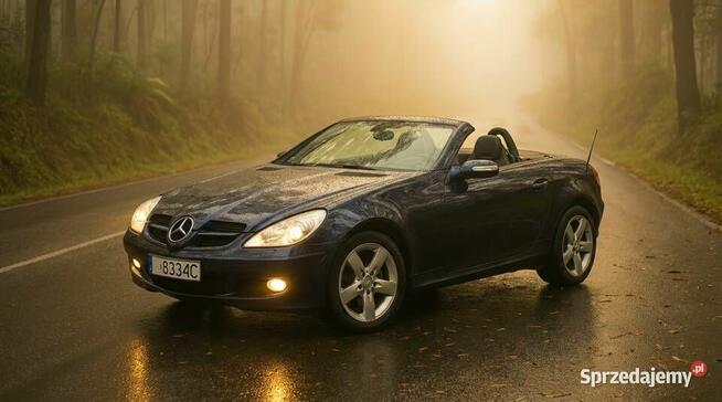 Mercedes-Benz SLK 200 Cabrio - Piękny Roadster - 2008r Mysłowice - zdjęcie 1