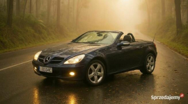 Mercedes-Benz SLK 200 Cabrio - Piękny Roadster - 2008r