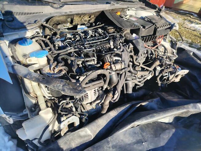 VW Golf VI 2011 1.6 Tdi Siemiechów - zdjęcie 4