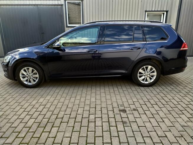 Volkswagen Golf 1.4 TSI  DSG Full Led Navi Radar Hak  Zarejestrowany Strzała - zdjęcie 4