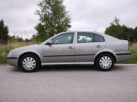 Skoda Octavia I 2007 1.9 TDI Mniów - zdjęcie 5