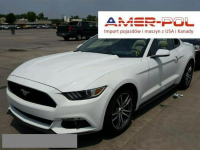 Ford Mustang 2015,2.3L,EcoBoost,na tylne koła,po gradobiciu