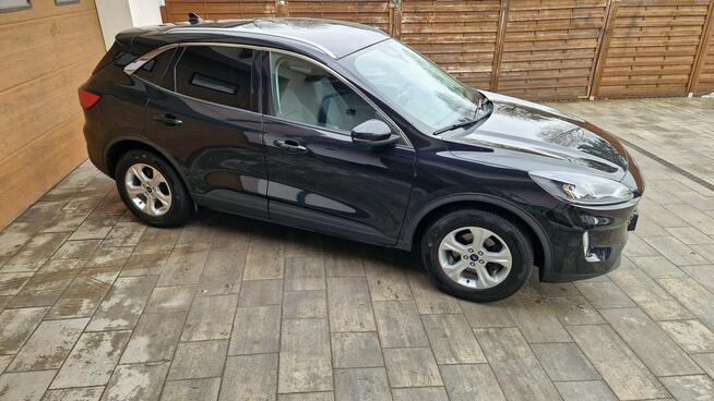 Ford Kuga Stan BDB 2,0 diesel 150KM , full wersja % % GWARANCJA % % % Ostrołęka - zdjęcie 3
