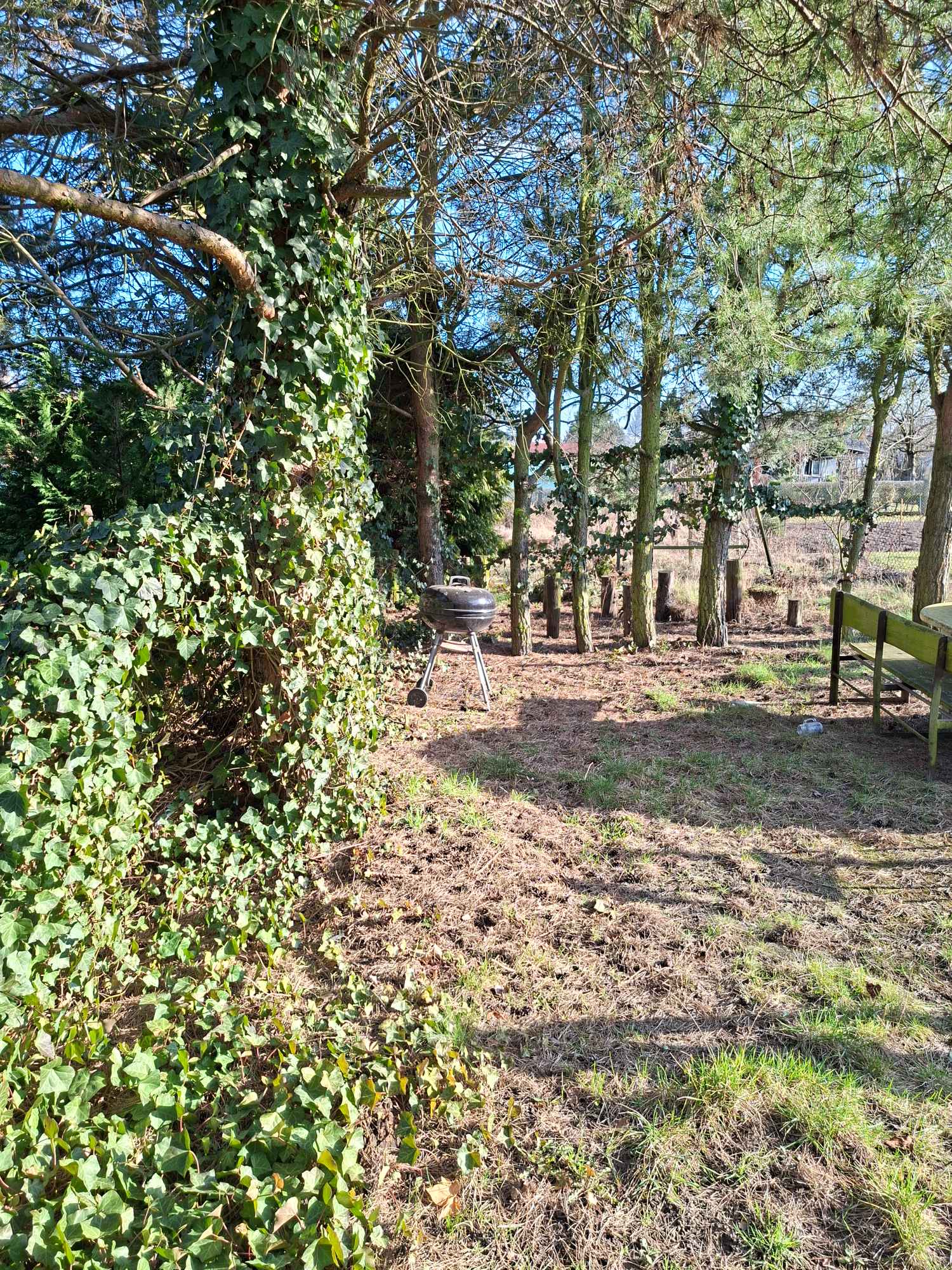 Sprzedam dzialkę ROD 4-marca Stargard Stargard - zdjęcie 6