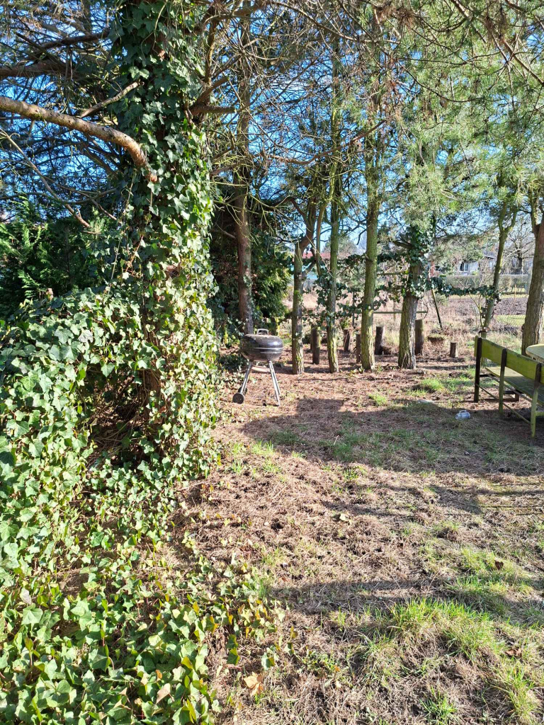 Sprzedam dzialkę ROD 4-marca Stargard Stargard - zdjęcie 6