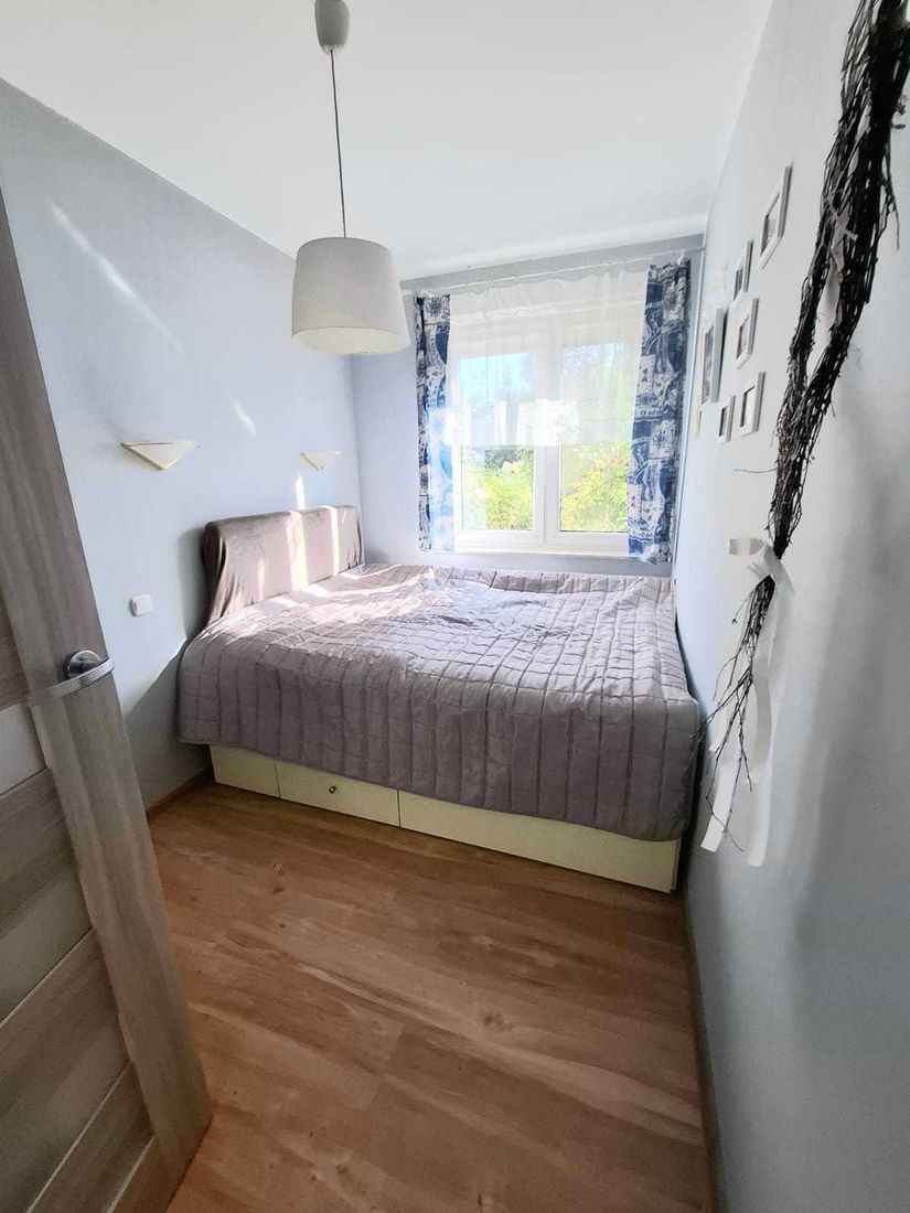 2pok, 44met, Okolice Strachocińskiej OGRÓD/PARKING/2013 (Wrocław) Psie Pole - zdjęcie 5