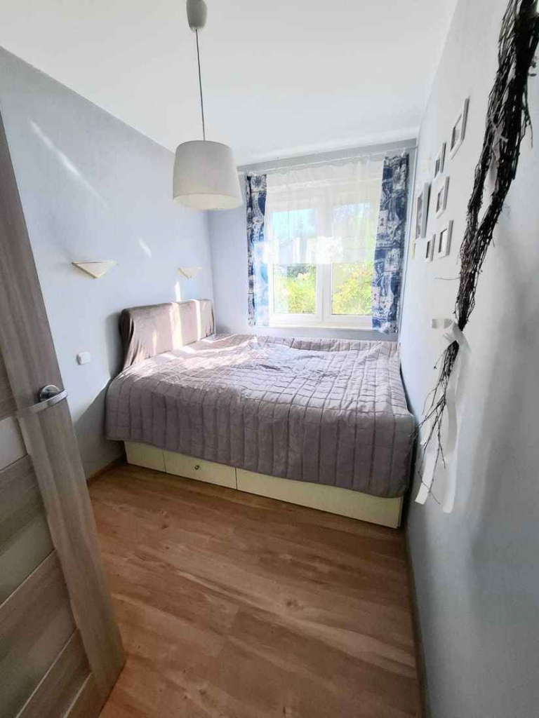 2pok, 44met, Okolice Strachocińskiej OGRÓD/PARKING/2013 (Wrocław) Psie Pole - zdjęcie 5