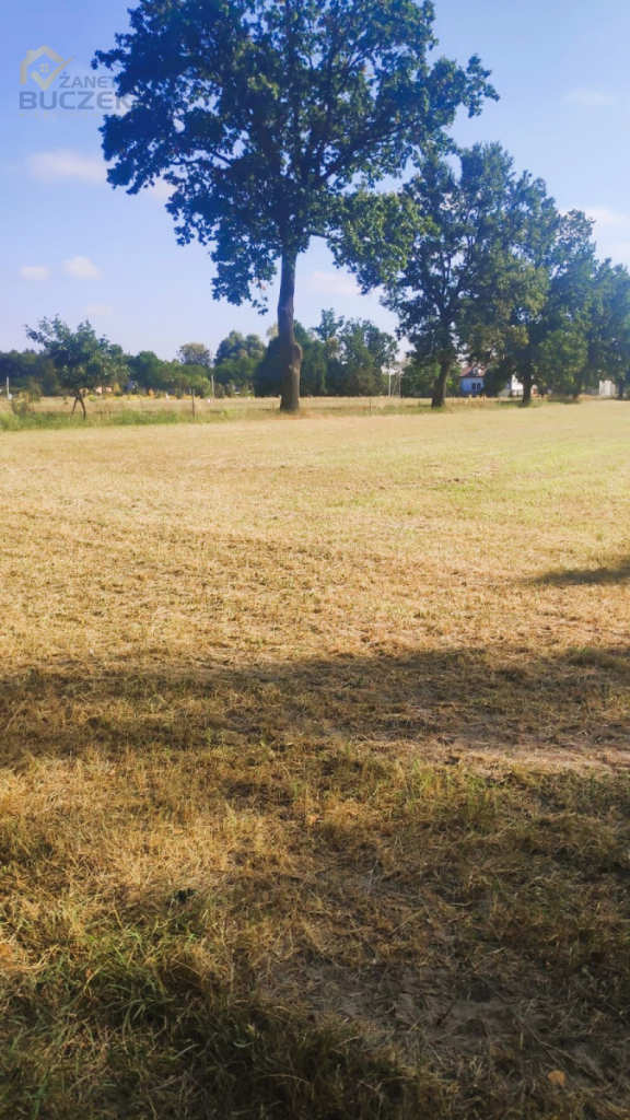 Sprzedam działkę budowlaną w Lasocinie Lasocin - zdjęcie 2