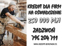 ŁATWO DOSTĘPNY KREDYT DLA FIRM 250 000 PLN NA OŚWIADCZENIE BEZ US ! Gdańsk - zdjęcie 1