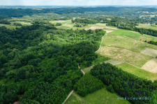 20 km od Rzeszowa | 0.39 ha | Zielona okolica Straszydle - zdjęcie 8