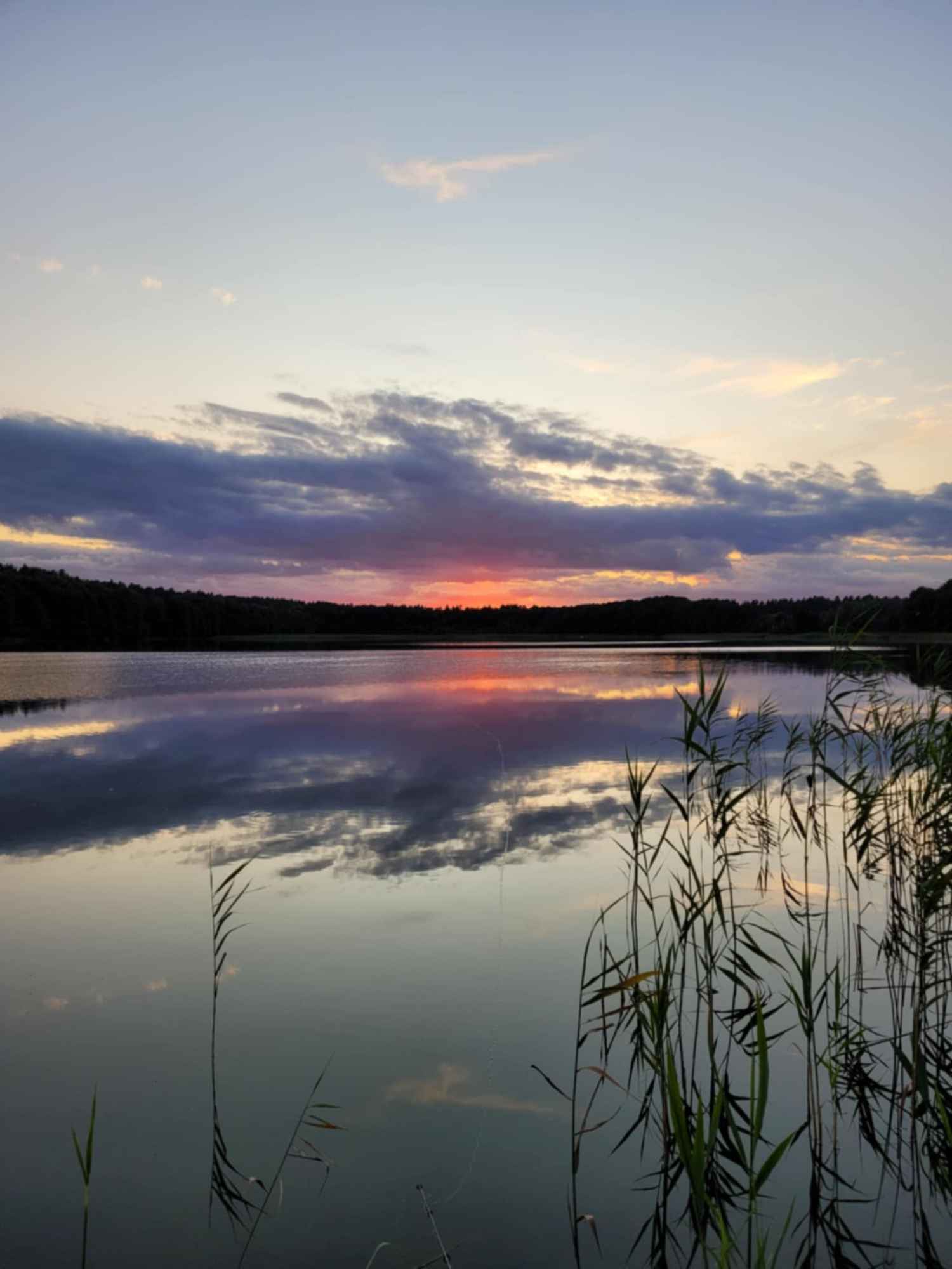 Pole kamperowe Stępień - zdjęcie 12