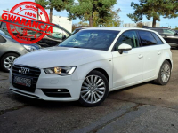 Audi A3 Klimatronic 2-stref, Podgrz. fotele, Nawigacja, 2 kpl. kół