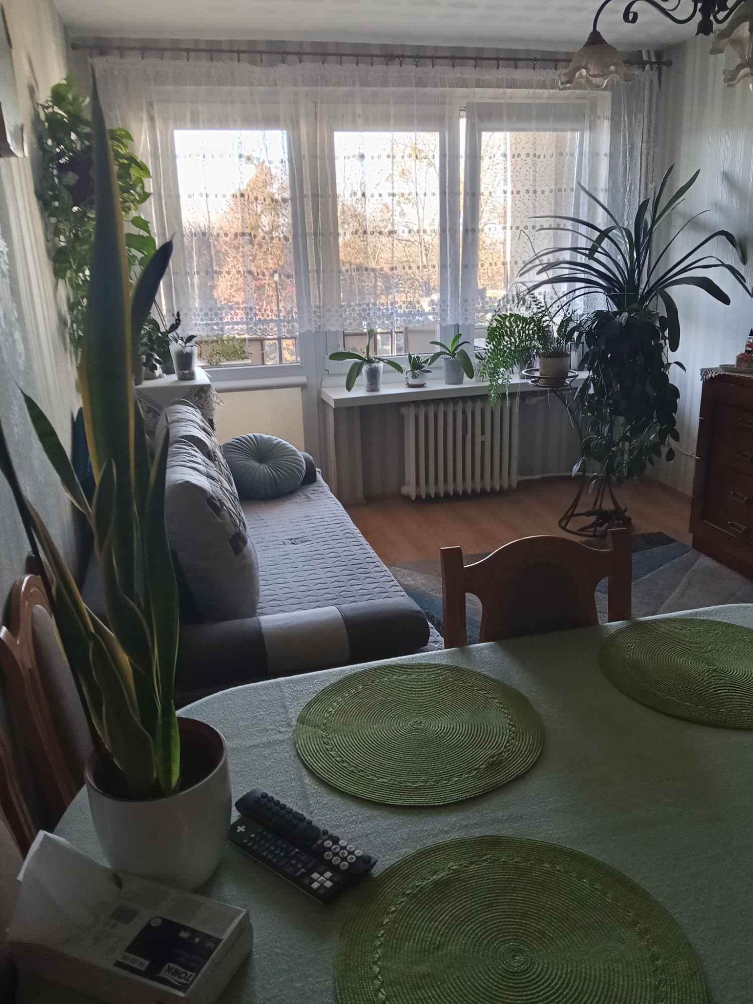 Mieszkanie Toruń - zdjęcie 3