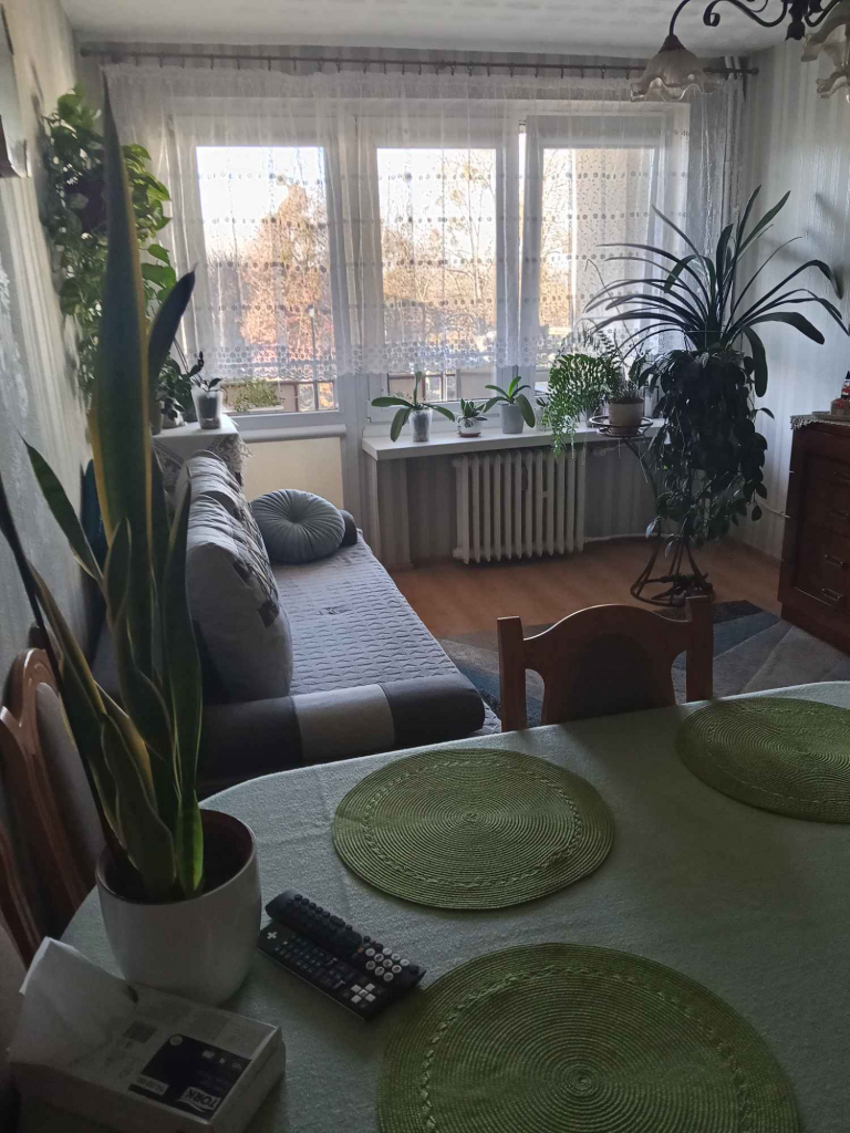 Mieszkanie Toruń - zdjęcie 3