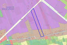 Na sprzedaż działka inwestycyjna – Kuznocin Kuznocin - zdjęcie 6