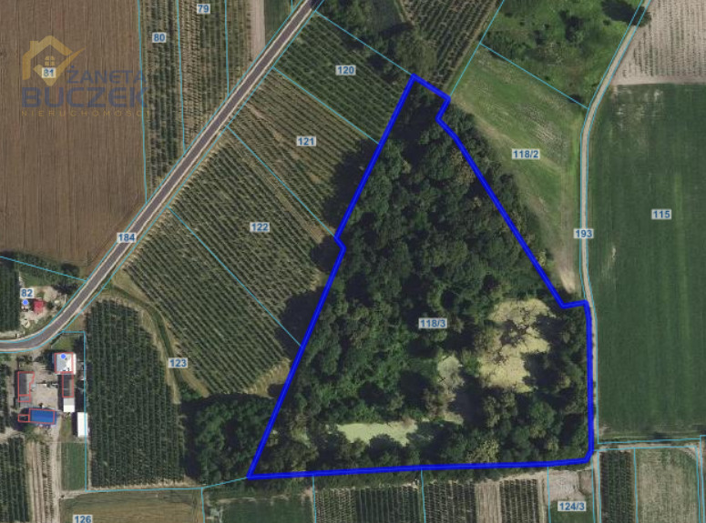 Działka na sprzedaż Sadowo Sadowo - zdjęcie 1