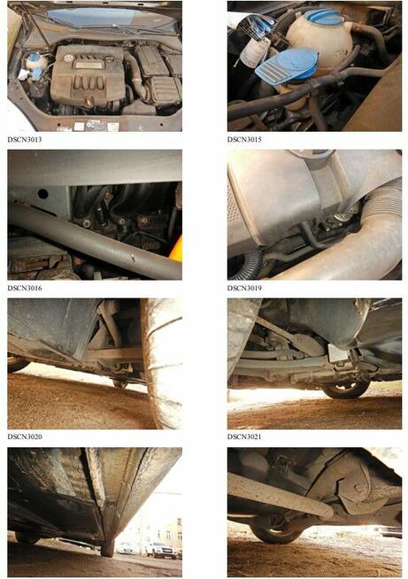 Volkswagen Golf V Gorzów Wielkopolski - zdjęcie 6