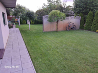 Sprzedam Turek - zdjęcie 4