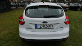 Ford Focus zarejestrowany i piękny . Gwarancja Zielona Góra - zdjęcie 6