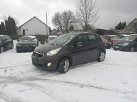 Śliczna Venga benzyna Policzna - zdjęcie 5