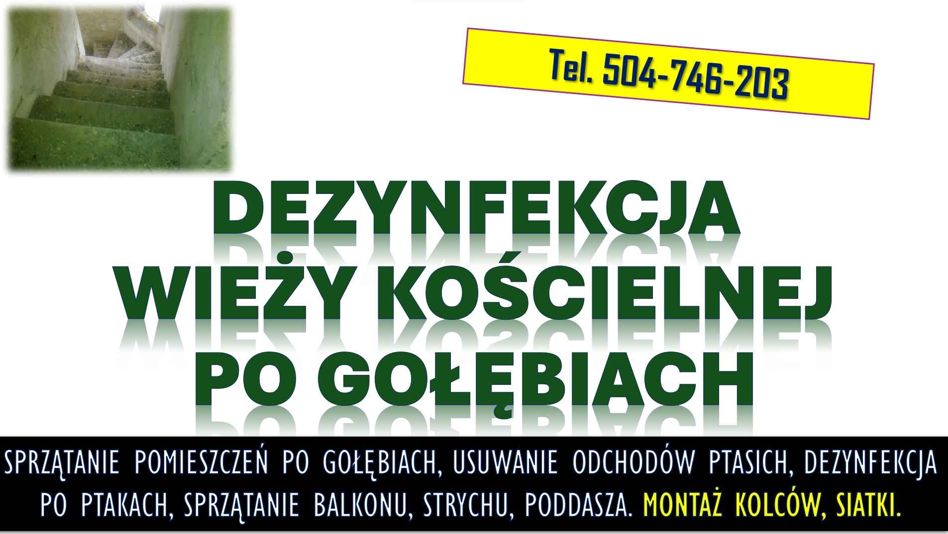 Sprzątanie wieży kościelnej po gołębiach. T.504746203 Ptasich odchodów Psie Pole - zdjęcie 2