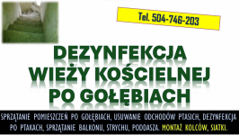 Sprzątanie wieży kościelnej po gołębiach. T.504746203 Ptasich odchodów Psie Pole - zdjęcie 2