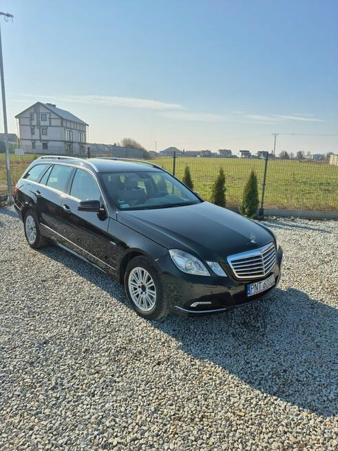 Mercedes E 350 3.0 DIESEL "RATY" Grodzisk Wielkopolski - zdjęcie 4