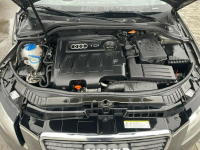 Audi A3 Ambition Climatronic Hak Gliwice - zdjęcie 11