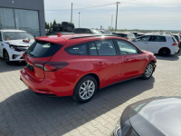 Ford Focus Business Active Climatronic 125 Gliwice - zdjęcie 3